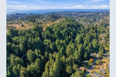 01 Pringle, Soquel, CA 95073 - Photo 5