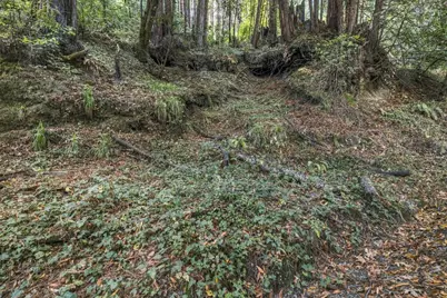 01 Pringle, Soquel, CA 95073 - Photo 15
