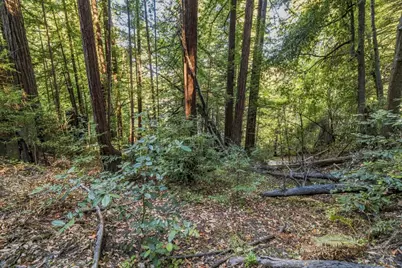 01 Pringle, Soquel, CA 95073 - Photo 19