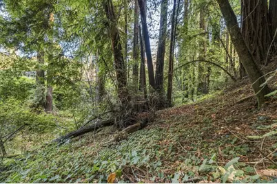 01 Pringle, Soquel, CA 95073 - Photo 11