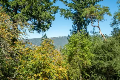 17368 Melody Ln, Los Gatos, CA 95033 - Photo 31