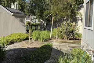 22672 Silver Oak Ln, Cupertino, CA 95014 - Photo 9
