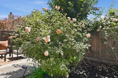 4562 Carmen Way, Union City, CA 94587 - Photo 41