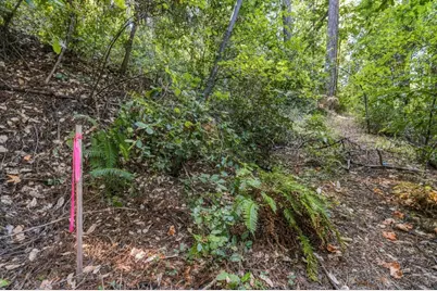 1150 Blue Ridge Dr, Boulder Creek, CA 95006 - Photo 31