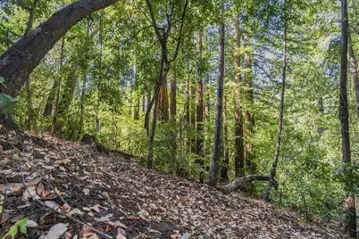 1150 Blue Ridge Dr, Boulder Creek, CA 95006 - Photo 29