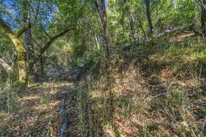 1150 Blue Ridge Dr, Boulder Creek, CA 95006 - Photo 35