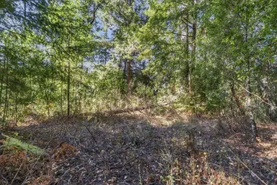 1150 Blue Ridge Dr, Boulder Creek, CA 95006 - Photo 21