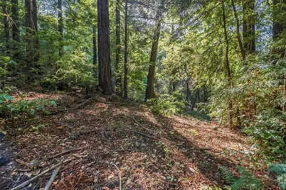 1150 Blue Ridge Dr, Boulder Creek, CA 95006 - Photo 19