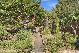 3570 Mitton Ct, San Jose, CA 95148 - Photo 35