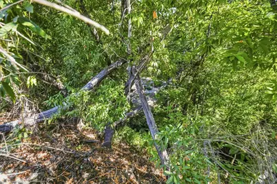 0 Zayante, Felton, CA 95018 - Photo 3