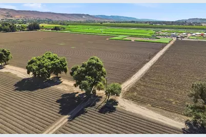 225 Laguna Ave, Morgan Hill, CA 95037 - Photo 13