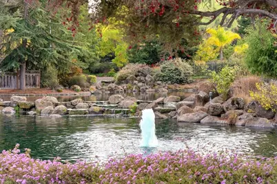 11501 Sunrise Spring Ct, Cupertino, CA 95014 - Photo 21