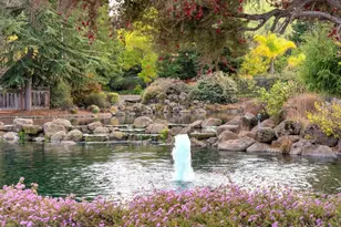 11501 Sunrise Spring Ct, Cupertino, CA 95014 - Photo 21