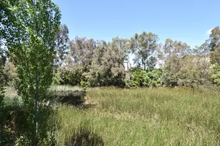 1047 N Abbott Ave, Milpitas, CA 95035 - Photo 33