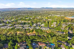 217 Mistletoe Rd, Los Gatos, CA 95032 - Photo 97