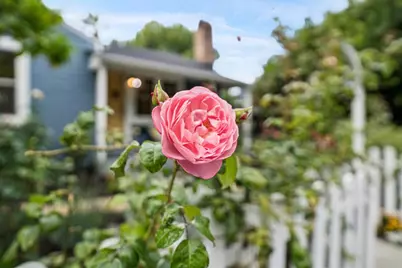 318 Oak Ave, Redwood City, CA 94061 - Photo 5
