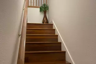 425 Arleta Ave, San Jose, CA 95128 - Photo 13
