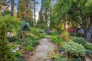 11077 Squirrel Creek Rd, Grass Valley, CA 95945 - Photo 3