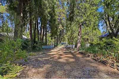 11077 Squirrel Creek Rd, Grass Valley, CA 95945 - Photo 39