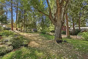 11077 Squirrel Creek Rd, Grass Valley, CA 95945 - Photo 29