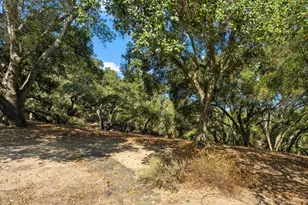 1991 Lavender Way, Gilroy, CA 95020 - Photo 39