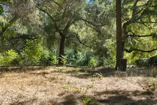 7267 W Zayante Rd, Felton, CA 95018 - Photo 7