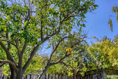 11583 Upland Way, Cupertino, CA 95014 - Photo 97