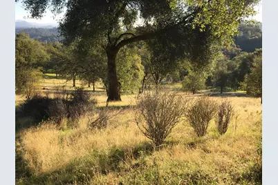 1375 Shaws Flat Rd, Sonora, CA 95370 - Photo 7