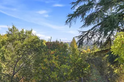 1051 Hewitt Dr, San Carlos, CA 94070 - Photo 47