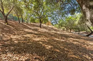 16099 Greenwood Rd, Monte Sereno, CA 95030 - Photo 1