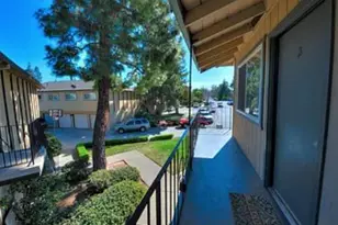 3813 Barker Dr, San Jose, CA 95117 - Photo 19
