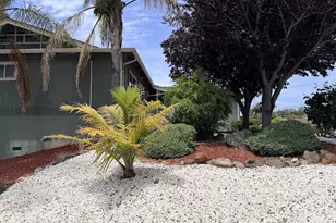29793 Holiday St, Hayward, CA 94544 - Photo 37