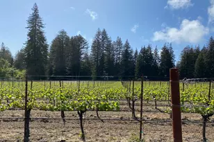 3980 Bonny Doon Rd, Santa Cruz, CA 95060 - Photo 21
