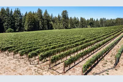 3980 Bonny Doon Rd, Santa Cruz, CA 95060 - Photo 19