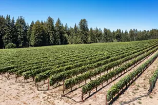 3980 Bonny Doon Rd, Santa Cruz, CA 95060 - Photo 19