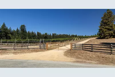 3980 Bonny Doon Rd, Santa Cruz, CA 95060 - Photo 3