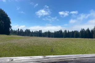 3980 Bonny Doon Rd, Santa Cruz, CA 95060 - Photo 27