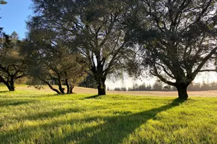 3980 Bonny Doon Rd, Santa Cruz, CA 95060 - Photo 25