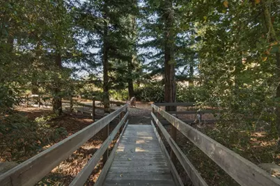 14123 Tracy Ct, Los Altos Hills, CA 94022 - Photo 39
