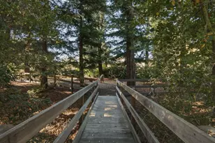 14123 Tracy Ct, Los Altos Hills, CA 94022 - Photo 39