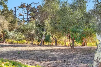 340 Aptos Ridge Cir, Watsonville, CA 95076 - Photo 71