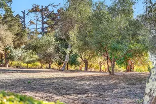 340 Aptos Ridge Cir, Watsonville, CA 95076 - Photo 71