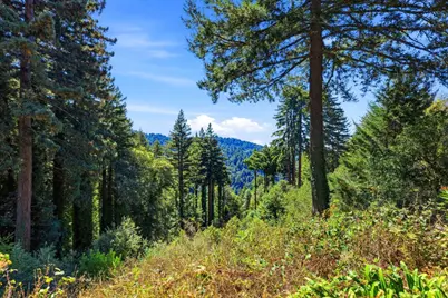 164 Filbert Rd, Woodside, CA 94062 - Photo 37
