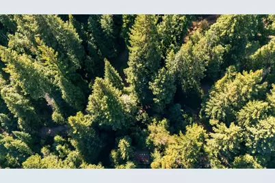 Lot 29 Bear Creek Road, Boulder Creek, CA 95006 - Photo 27