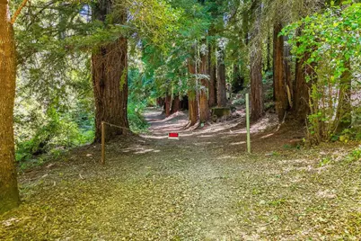 612 Nelson Rd, Scotts Valley, CA 95066 - Photo 3