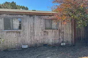 426 Palm St, Santa Cruz, CA 95060 - Photo 3