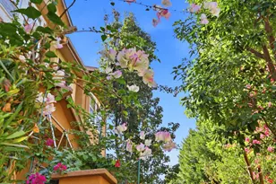 161 Salmar Terrace, Campbell, CA 95008 - Photo 45
