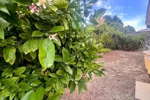 16158 Via Walter, San Lorenzo, CA 94580 - Photo 21