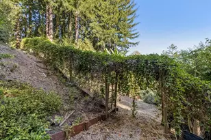 377 Rider Ridge Rd, Santa Cruz, CA 95065 - Photo 79