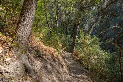 500 Endlich Dr, Santa Cruz, CA 95060 - Photo 63